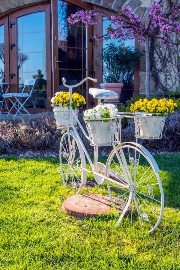 Feniks Agro&Spa Adults Only Swinoujscie Exterior photo